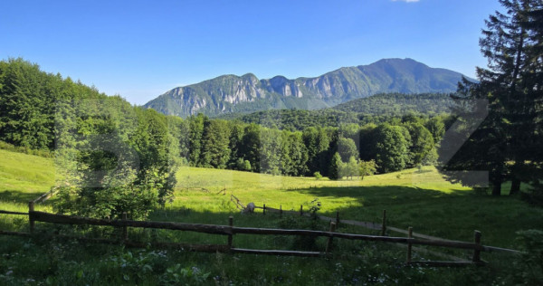 Teren intravilan, Trei Brazi, Predeal