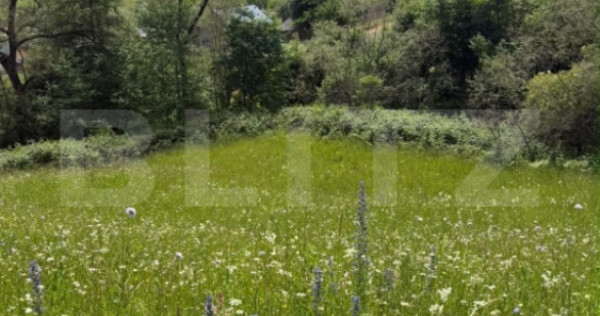 Teren extravilan 5049 mp, Vama, Bucovina