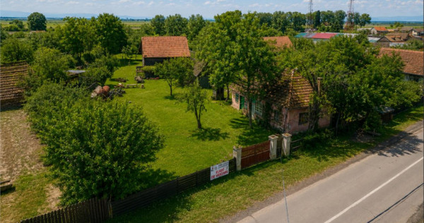 FILM! Oaza ta de liniste pe 4.900mp teren intravilan, Tufala