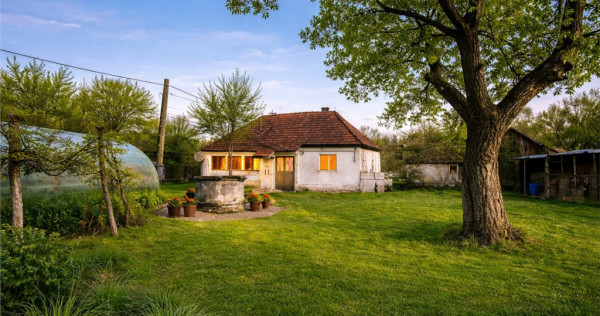 FILM! Casa cu sura, pivnita, balta cu pesti, 2.280 mp teren