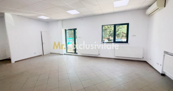 Inchiriere Spațiu Comercial Craiovei - Negoiu