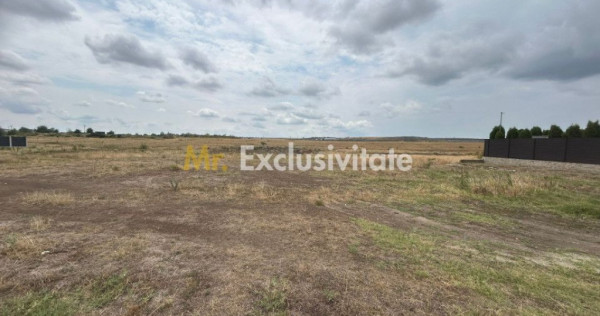 Comision 0% - Teren 10.000 mp - Str. Octavian Goga, Craio...