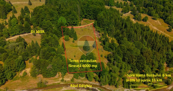 Teren 6000 mp, Valea Dălghiului - Vama Buzăului - veder...