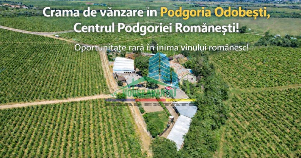 Cramă complet funcțională in inima Podgoriei Odobești