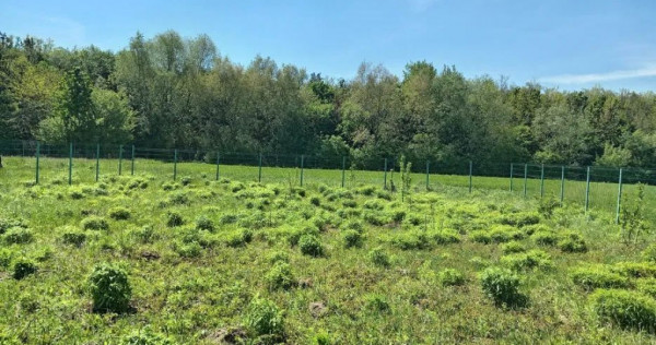 Teren Intravilan 837 mp Stupini