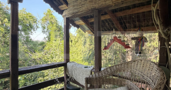 Casa P+M, 777 mp teren, Breasta