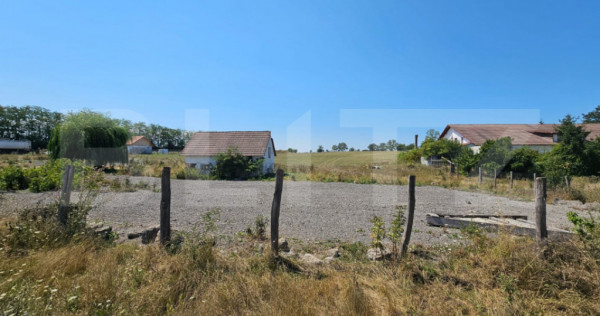 Teren extravilan, 4.000 mp, zona Vințu de Jos - Pianu