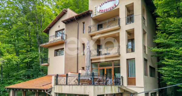 Sinaia I Pensiune de inchiriat cu Restaurant , SPA si vedere