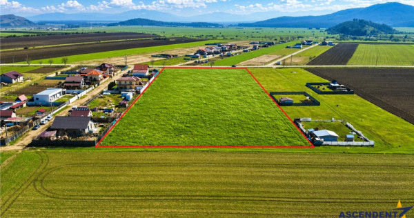 FILM! 700 mp teren intravilan, recomandat constructie casa