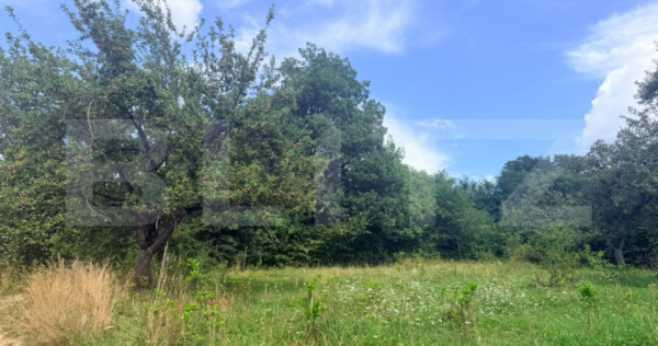 Teren intravilan de vanzare, 1235 mp, zona Sohodol