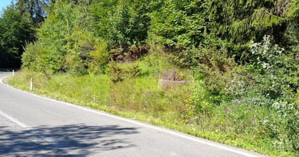 Teren de v&acirc;nzare &icirc;n zona Cota 1000 &ndash; Sinaia