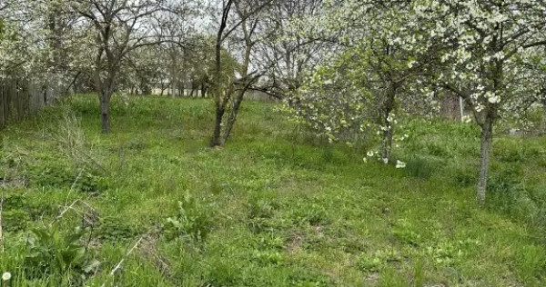 Teren intravilan 7.500 mp