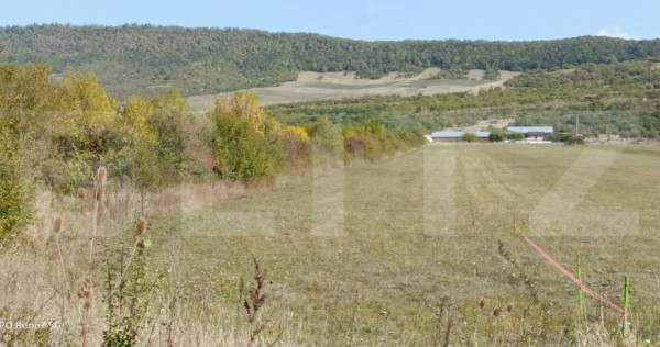 Teren 49 Ari, partial intravilan 13 ari, cu deschidere la DN