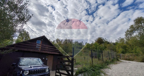 V&Acirc;NZARE Teren intravilan &icirc;n Provița de Jos