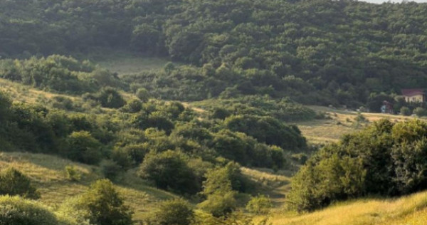 Teren 500mp, Valea Sanaslaului