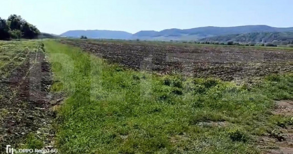 Teren agricol de v&acirc;nzare 25 ari, zona Sieu Magherus