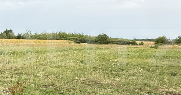 Teren intravilan, 500 mp, zona Odoreu