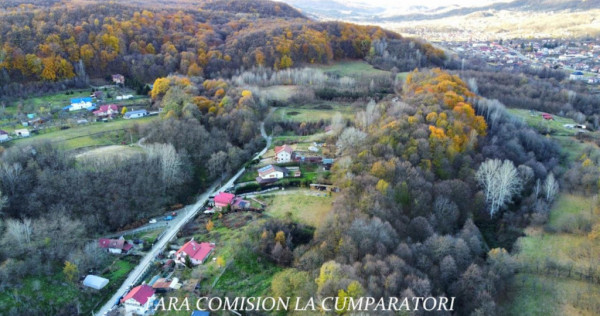 PADURE LANGA ORAS ACCES BUN IDEALA PENTRU ACTIVITATI DE AGRE