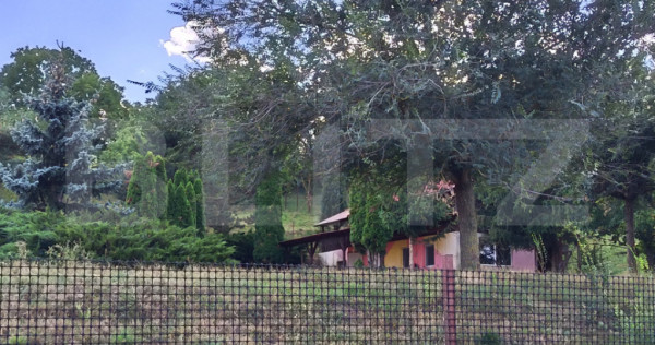 Teren de vanzare, 6500 mp cu livada, zona Mihai Viteazu