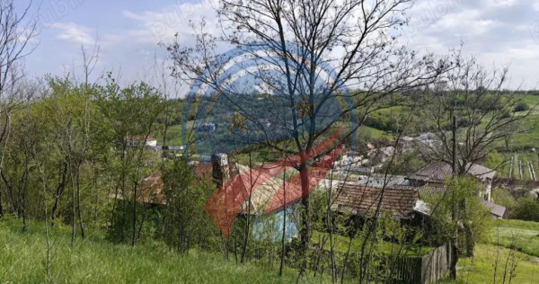 CASA LA 20 KM DE CRAIOVA CU 10000 MP. TEREN