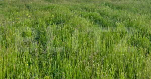 Teren intravilan, 700 mp, zona Mihai Viteazu