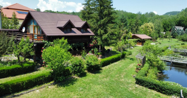 DOMENIU DE 2.1 HA CU 2 CABANE LAC SI PADURE - OPORTUNITATE P