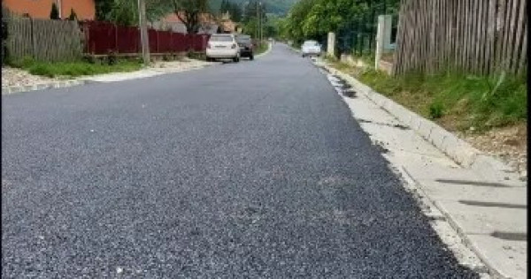 Teren intravilan 1600 mp Podu Cheii, 4 km de Baraj Paltinu