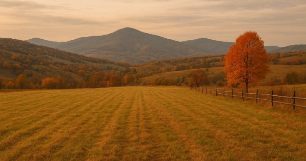 Teren intravilan zona Tocile