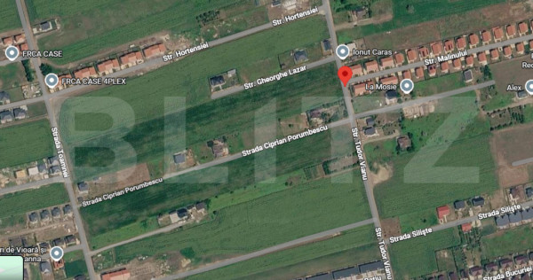 Teren intravilan, 10000 mp, zona Valea Lupului