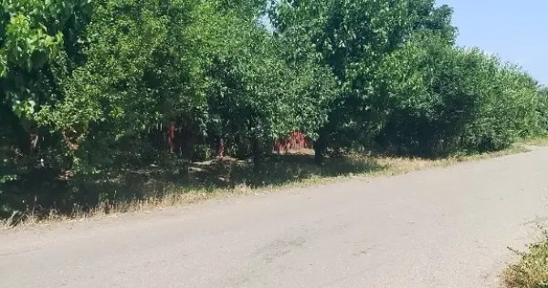 Vind casa locuibilă