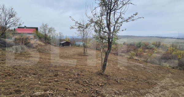 Teren de vanzare, 900 mp, zona Visan - str. Regina Maria