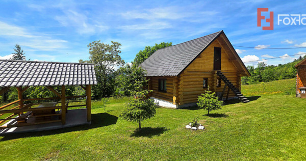 Cabane cu 7 camere de vanzare in Albac