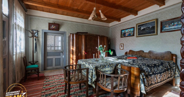 FILM! Domeniu de 6.221mp, livada pomi fructiferi casa si ane