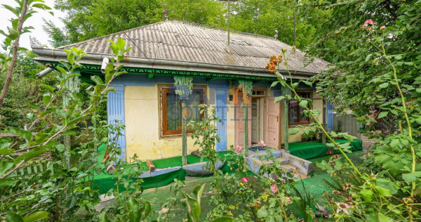 Casă interbelică + 3.060 mp intravilan, Trifești, 7,9 km de Roman