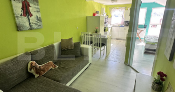 Apartament 2 camere de inchiriat