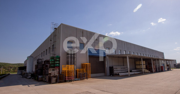 Hală industrială premium de v&acirc;nzare | 5.100 mp construiț