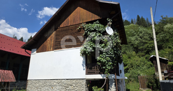 Proprietate de v&acirc;nzare &icirc;n Voineasa, jud. V&acirc;lcea &ndash; aproa