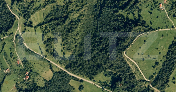 Pădure de foioase- 30.865 m&sup2; &ndash; teren de v&acirc;nzare, T&acirc;rsa