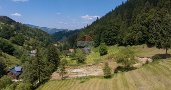 Teren 2.891 mp Șimon &ndash; Bran | Poziție rară, potențial turistic