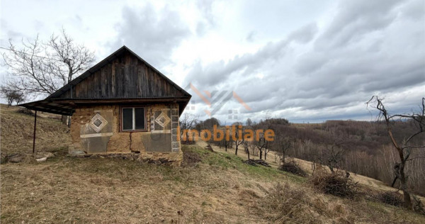 TEREN 34.000 MP | SERANI BIHOR