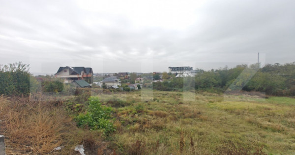 Teren intravilan, 6.000 mp, zona Geamăna