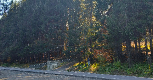 Teren intravilan Predeal