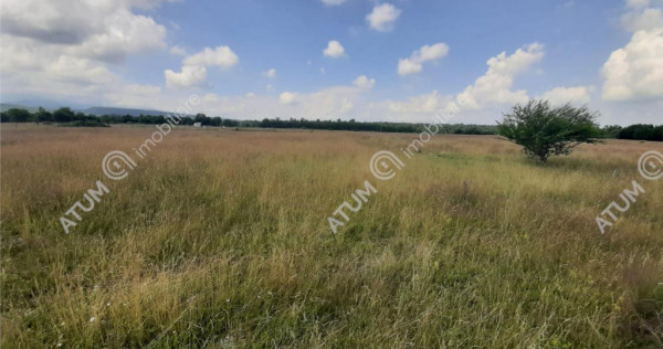 Teren Intravilan in Avrig zona Valea Avrigului 8900 metri