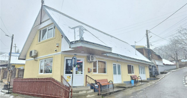 Luizi Calugara - spatiu comercial - stradal - renovat