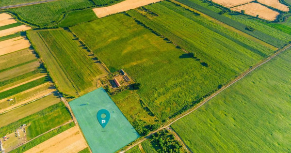 Teren de 10.000 mp situat în Bujac, Arad