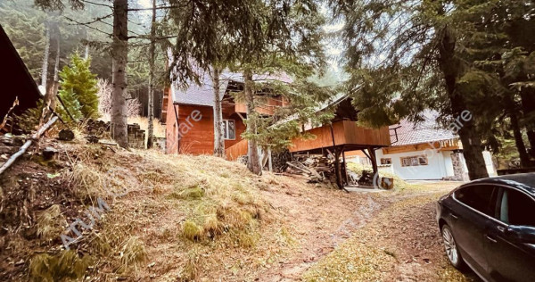 Casa de vacanta/Cabana cu 8 camere de in Paltinis