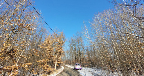 Teren intravilan, în Scoarța, sat Pișteștii din Deal