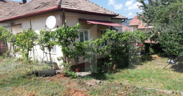 Oază Urbană în Inima Clujului: Casa de 110 mp cu Grădin?