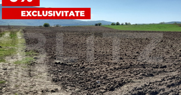 TEREN Extravilan 15000 MP &icirc;n Zona Codlea