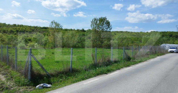 Teren 31 ari, zona linistita
